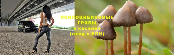 гидра Дмитров