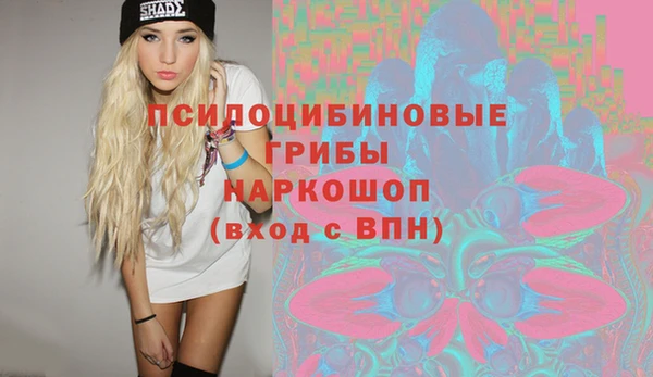 гидра Дмитров