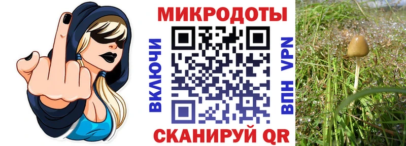 Галлюциногенные грибы ЛСД продажа наркотиков Верхняя Тура